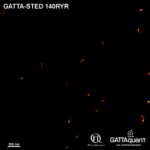 Флуоресцентные маркеры-нанолинейки GATTA-STED NANORULER