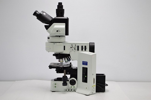 Изображение Флуоресцентный микроскоп Olympus BX61 с моторизацией