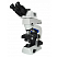 Флуоресцентный микроскоп MF23