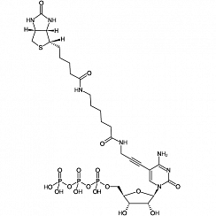 Biotin-11-CTP
