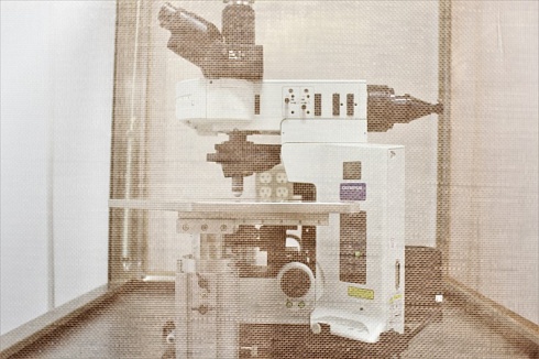 Изображение Прямой моторизированный микроскоп Olympus BX61