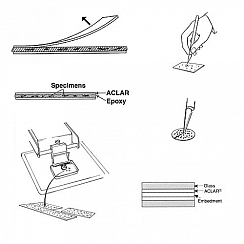Изображение ACLAR® — пленка для встраивания образцов