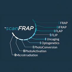 Изображение Система scanFRAP для оптогенетики и манипуляции освещением