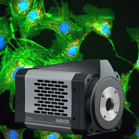 sCMOS камеры Andor для микроскопии