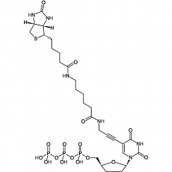 Biotin-11-ddUTP