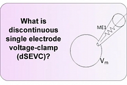 Изображение Прерывистый одноэлектродный патч-кламп (dSEVC)
