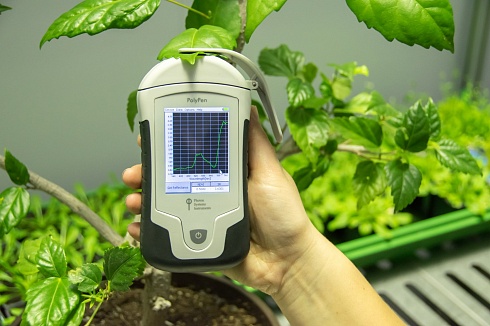 Фото PolyPen - система для спектрального анализа отражающей способности листьев растений