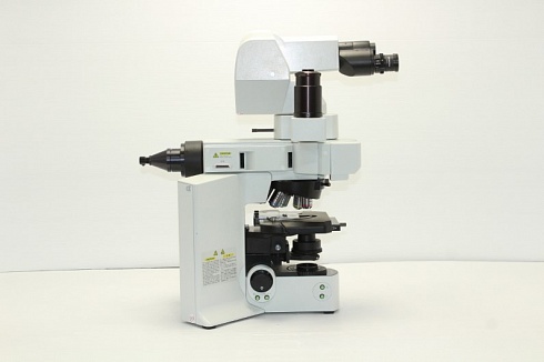 Изображение Моторизированный флуоресцентный микроскоп Olympus BX61, 40 to 400x