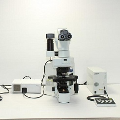 Изображение Моторизированный флуоресцентный микроскоп Olympus BX61, 40 to 400x