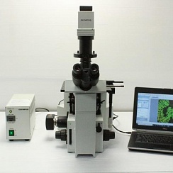 Изображение Микроскоп Olympus IX50