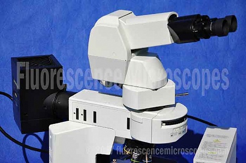 Микроскоп Olympus BX41