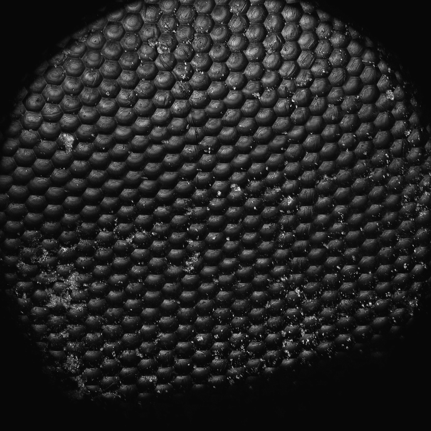 Микро ru. Конфокальная микроскопия Heidelberg. Frap microscopy. Конфокальная микроскопия Olympus fv10 - ASW. Конфокальную текстуру.