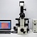 Изображение Микроскоп Nikon TE300, инвертированный, флуоресцентный, бинокулярная насадка