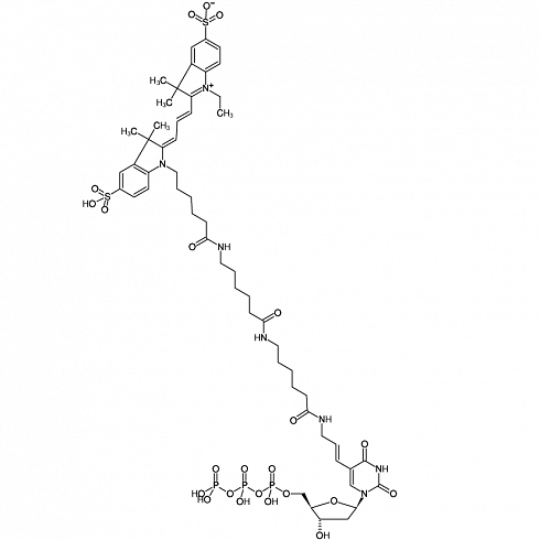 Aminoallyl-dUTP-XX-Cy3