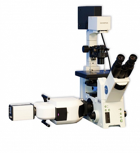 Микроскоп Olympus c модулем для конфокальной визуализации Clarity