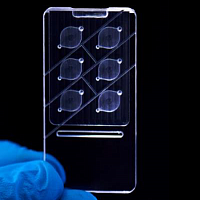 Изображение Герметизированный чип, шесть независимых реакционных камер