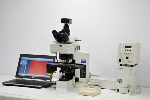 Изображение Микроскоп Olympus BX61 для флуоресцентного анализа и светлопольной микроскопии