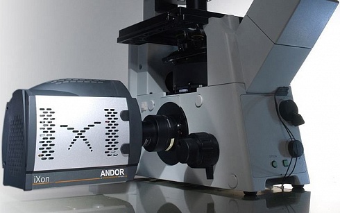 EMCCD камера iXon с микроскопом