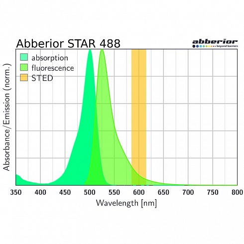 Флуоресцентный краситель Abberior STAR 488