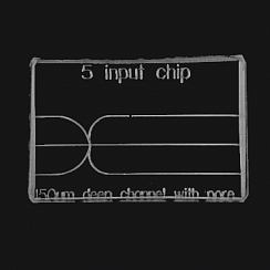 Изображение Чипы 5 Input Chip 3D