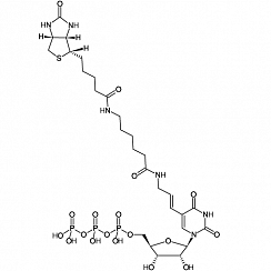 Biotin-11-UTP