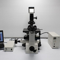 Изображение Микроскоп Nikon Eclipse TE300, биологический, флуоресцентный, фазово-контрастный