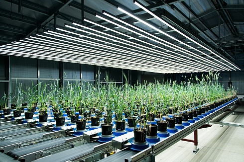 Фото PlantScreen Modular - многофункциональное роботизированное решение для фенотипирования растений