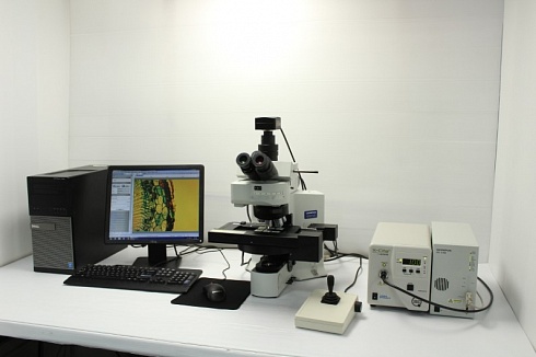 Изображение Биологический флуоресцентный микроскоп Olympus BX61