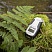 Фото PlantPen NDVI & PRI - портативный измеритель отражающей способности листьев растений