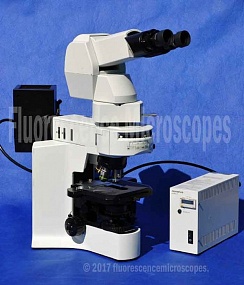 Изображение Микроскоп Olympus BX41