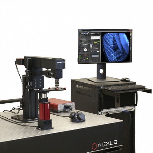 Мультифотонный микроскоп Thorlabs с гальваническим сканером