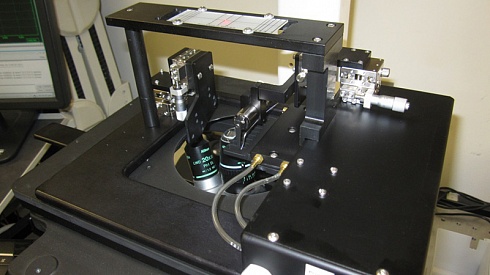 Изображение 902A - лазерный диод для измерения длины саркомеров