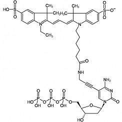 5-Propargylamino-dCTP-Cy3