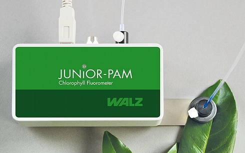 JUNIOR-PAM - универсальный компактный импульсный флуориметр Walz