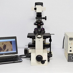Изображение Микроскоп Nikon TE300, флуоресцентный, фазово-контрастный