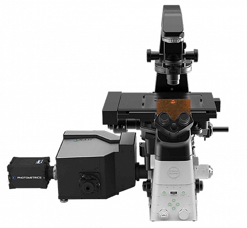 Оптический модуль X-Light V2 на микроскопе