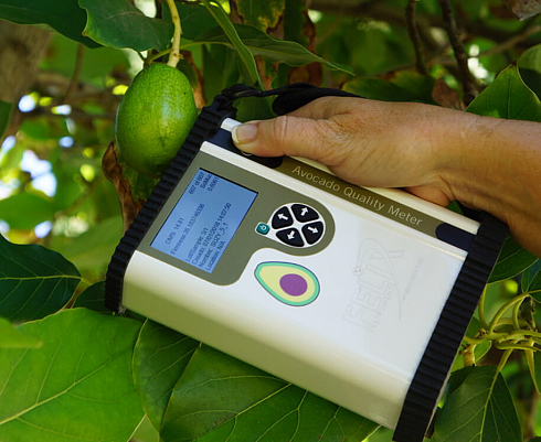 Фото F-751 Avocado - ИК анализатор качества плодов авокадо