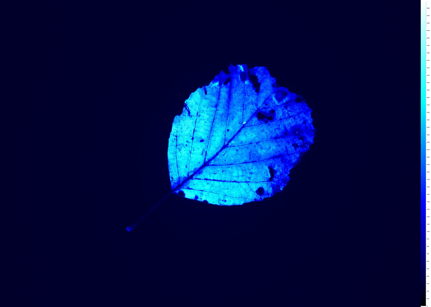 Фото Handy FluorCam - портативная система с функцией визуализации флуоресценции