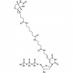 Biotin-16-dUTP