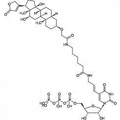 Digoxigenin-11-UTP