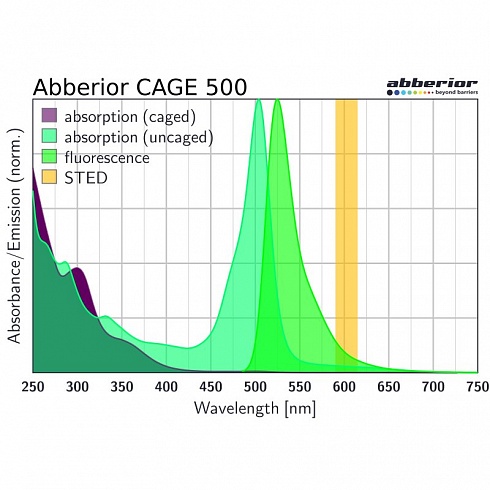 Флуоресцентный краситель Abberior CAGE 500