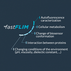 Фото Система fastFLIM для микроскопии с регистрацией времени жизни флуоресценции