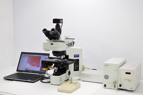 Изображение Прямой флуоресцентный, светлопольный микроскоп Olympus BX61