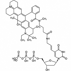 Aminoallyl-dUTP-ATTO-647N