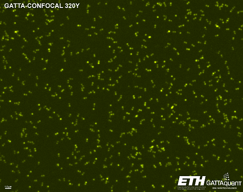 Флуоресцентные маркеры-нанолинейки GATTA-CONFOCAL NANORULER