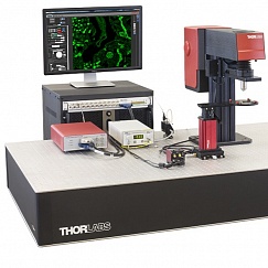 Изображение Одноканальный конфокальный микроскоп для визуализации флуоресценции GFP