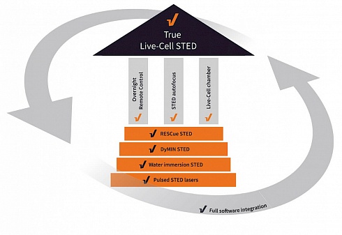 Пакет модулей для системы Live-Cell STED