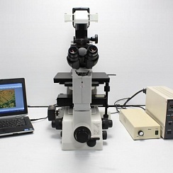 Изображение Микроскоп Nikon TE300, инвертированный, флуоресцентный