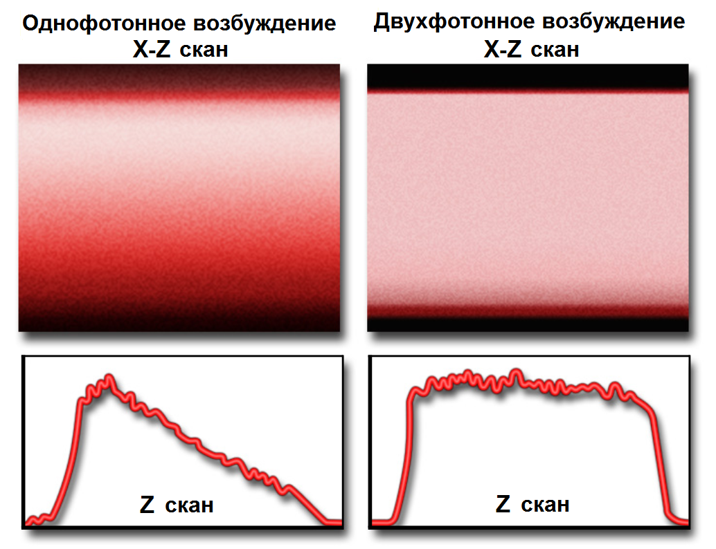 Основы мультифотонной микроскопии - azimp-micro.ru