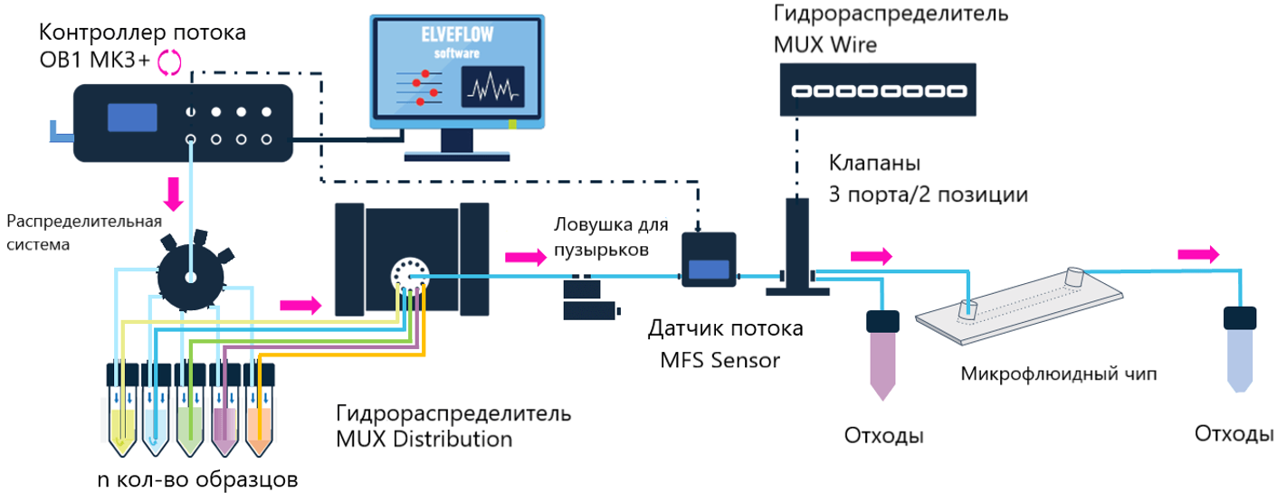 Окрашивание клеток, культивируемых в микрофлюидном чипе в динамических  условиях - azimp-micro.ru